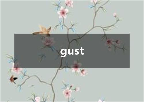 gust是什么意思
