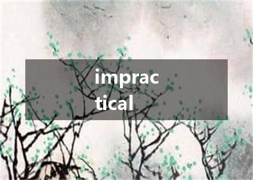 impractical是什么意思