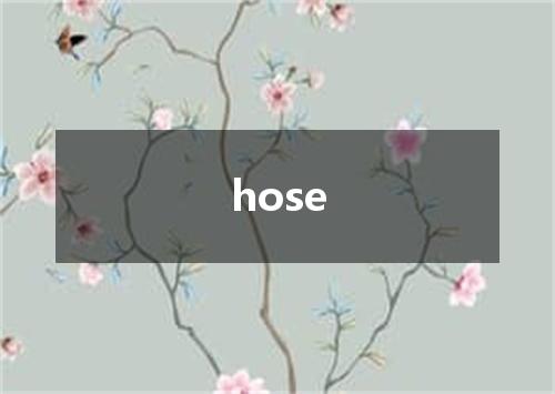 hose是什么意思