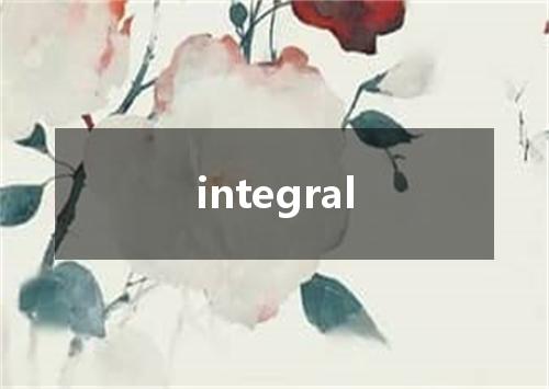integral是什么意思