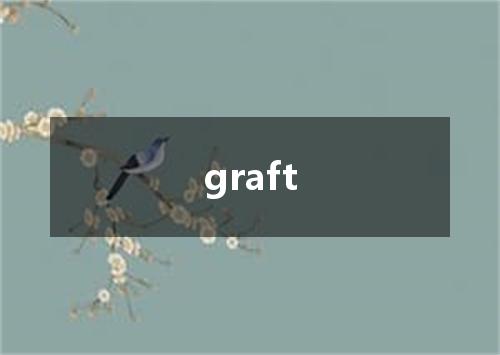 graft是什么意思