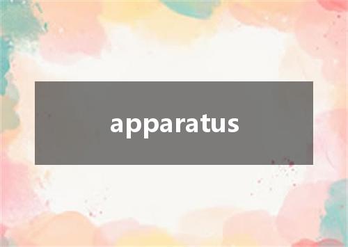 apparatus是什么意思
