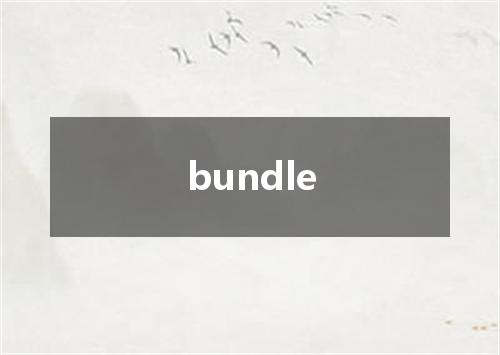 bundle是什么意思