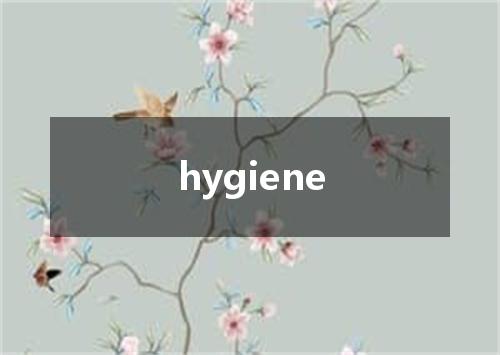 hygiene是什么意思
