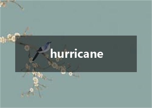 hurricane是什么意思
