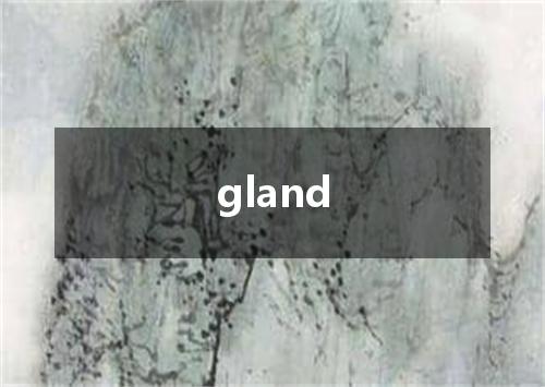 gland是什么意思