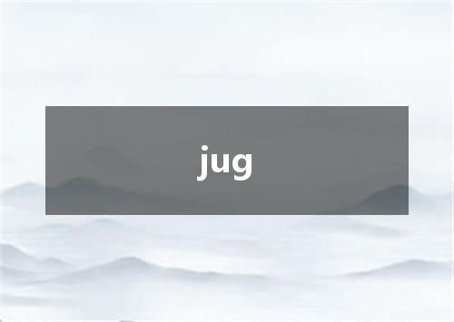 jug是什么意思
