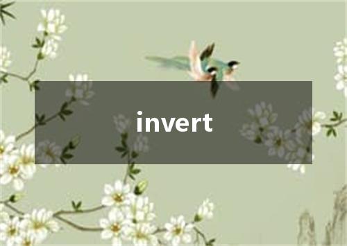 invert是什么意思