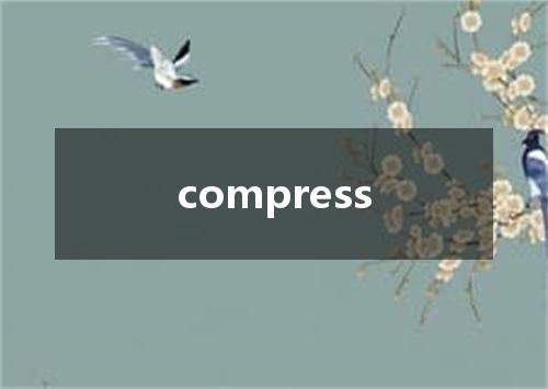 compress是什么意思
