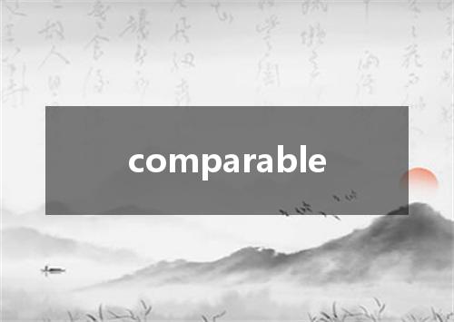 comparable是什么意思
