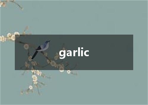 garlic是什么意思