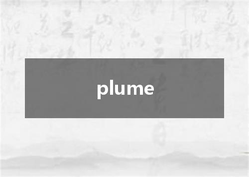 plume是什么意思
