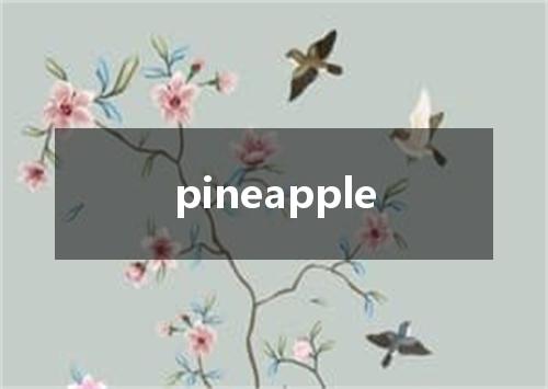 pineapple是什么意思