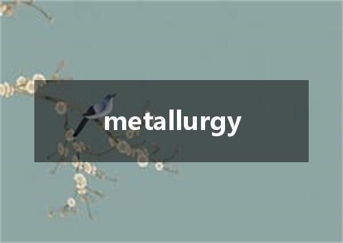 metallurgy是什么意思