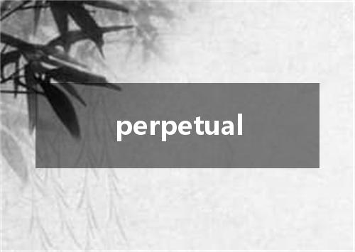 perpetual是什么意思