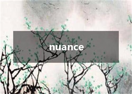 nuance是什么意思