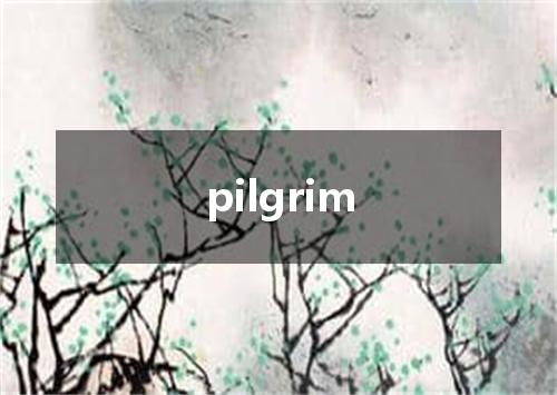pilgrim是什么意思