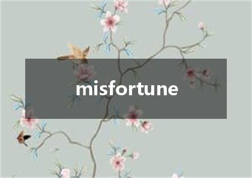 misfortune是什么意思