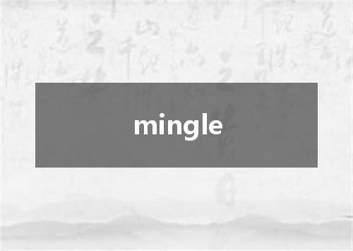 mingle是什么意思