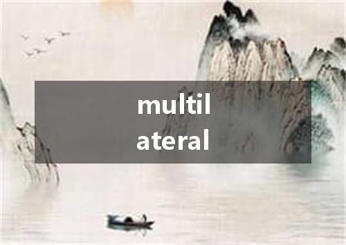 multilateral是什么意思