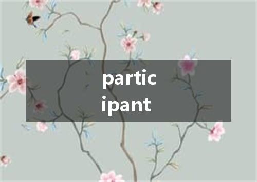 participant是什么意思