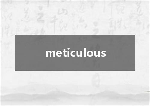 meticulous是什么意思