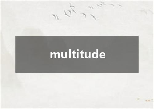 multitude是什么意思