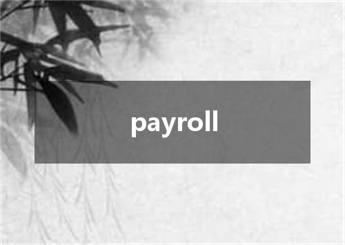 payroll是什么意思