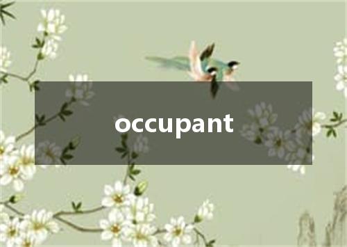 occupant是什么意思