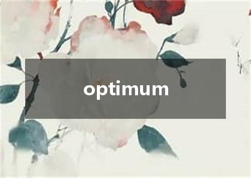 optimum是什么意思