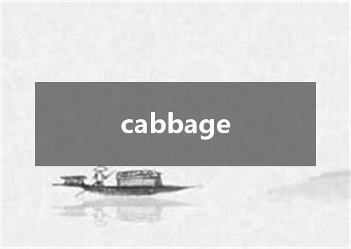 cabbage是什么意思
