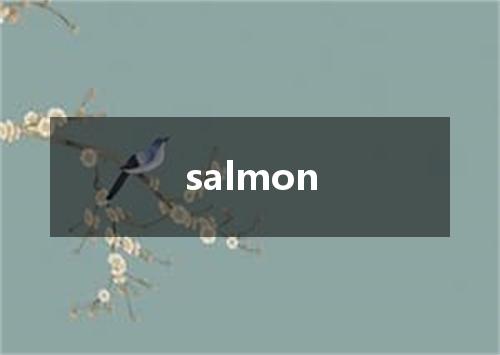 salmon是什么意思