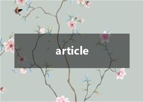 article是什么意思