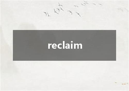 reclaim是什么意思