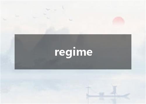 regime是什么意思