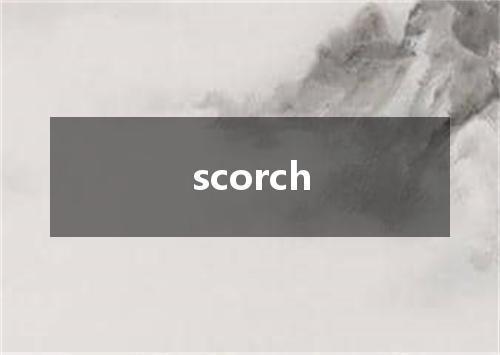 scorch是什么意思