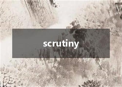 scrutiny是什么意思