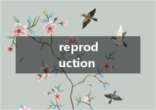 reproduction是什么意思