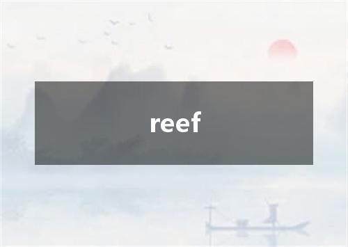 reef是什么意思