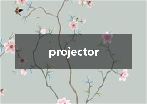 projector是什么意思