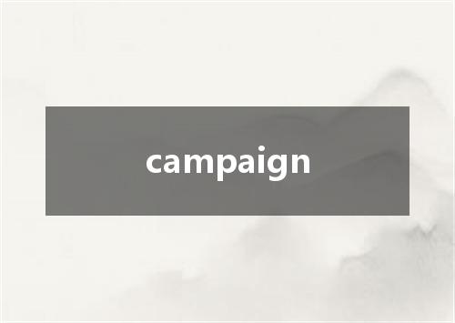 campaign是什么意思
