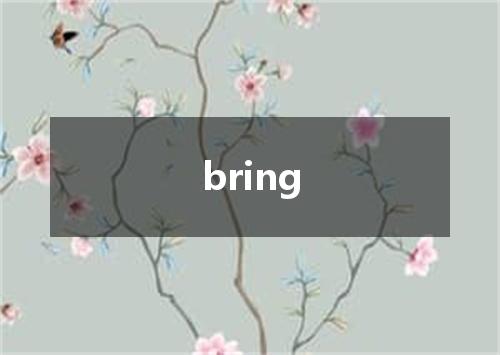 bring是什么意思