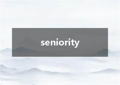 seniority是什么意思