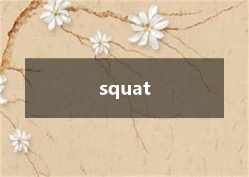 squat是什么意思
