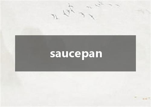 saucepan是什么意思