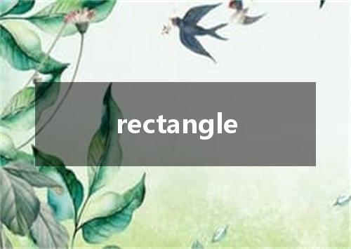 rectangle是什么意思