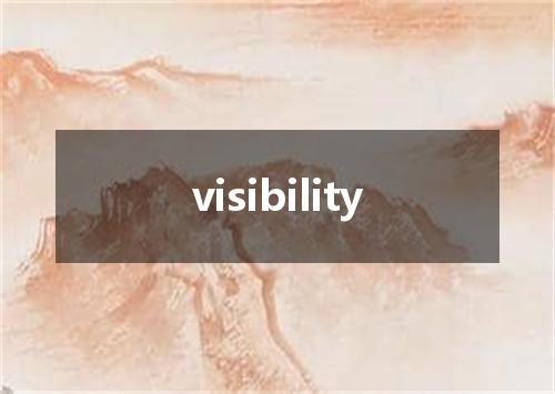 visibility是什么意思