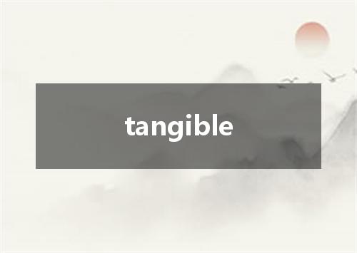 tangible是什么意思
