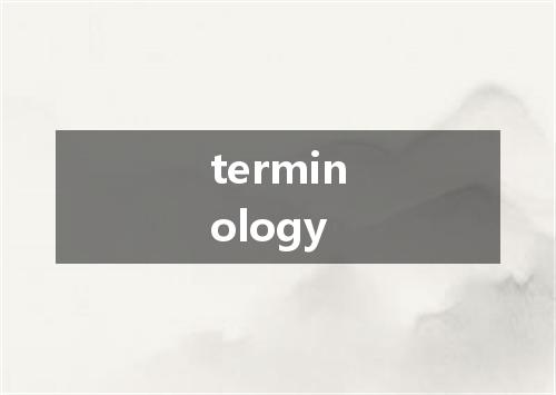 terminology是什么意思