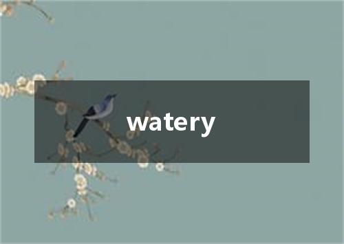 watery是什么意思